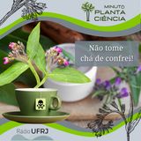 Minuto PlantaCiência - Ep. 20 - Não tome chá de confrei! (Rádio UFRJ)