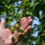 La salute a tavola di Marzo
