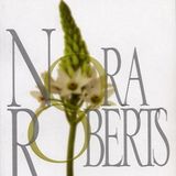 Un amor para siempre - Nora Roberts