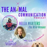 Hella Martens and The Wild Oceans