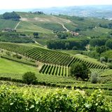 Sistema turistico di destinazione del Piemonte