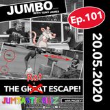 Jumbo Ep:101 - 20.05.20 - The Rat Escape & Wozey's Playing The Jumtastic Quiz