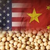 China Compra Mais De 272 Mil Toneladas De Soja Dos EUA nesta Quinta-feira (23). Episódio 1 - Carlitos Rodrigues Show