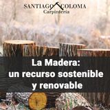 Santiago Coloma Romero - La Madera un recurso sostenible y renovable