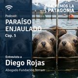 Capítulo 5: Incumplimientos normativos de la industria salmonera. Entrevista a Diego Rojas