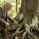 Gli spiritelli degli alberi-Torre Pellice