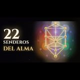 El Árbol de la Vida: el sistema oculto del tarot