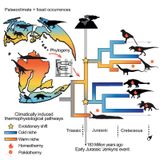 O mapa dos dinosauros
