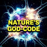 Nature’s Impossible Hack: Is Your Consciousness a Quantum Supercomputer?