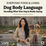 Dog Body Language - Decode the Woof with Juniper Snout