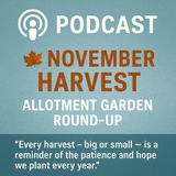🎧 🍂 November Harvest: Allotment Garden Round-Up
