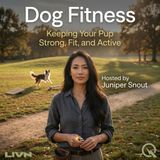 Dog Fitness - Wobble Boards and Paw Lifts: Building Balance and Body Awareness
