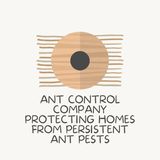Ant Control Company Protecting Homes From Persistent Ant Pests