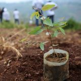 Tabaski : Sensibilisation sur la gestion des déchets et la préservation de l'environnement (Tous à la fada)