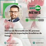 Embrapa prepara recomendações para produtores diante da chegada do El Niño