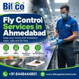 Best Fly Control Services in Ahmedabad for Homes & Offices