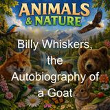 Billy Whiskers the Autobiography of a Goat - Frances Trego Montgomery