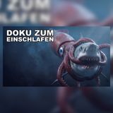 Warum niemand den Koloss Kalmar 100 Jahre sah | Doku zum Einschlafen