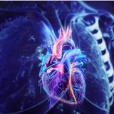 Learn the Power of Citrus Bergamot Supplement  _ Support Heart & Cholesterol