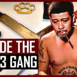 "Mata Satanas: MS-13's Reign of Terror Across America"
