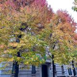 Che fede abbiamo e in che eternità crediamo? Vangelo e omelia | 27ª Domenica 251005