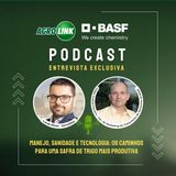 Manejo técnico e tratamento de sementes impulsionam produtividade e estabilidade no trigo