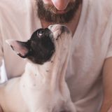 Vivir en positivo: el duelo de las mascotas