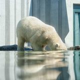 CAMBIO CLIMÁTICO | LuisBermejo.com T01xE19