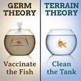 Germ Theory vs the Terrain Theory: Which one has more truth behind it?