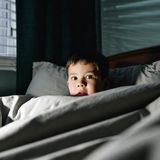 The Visitor In the Night