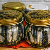 Come conservare le alici marinate sott'olio