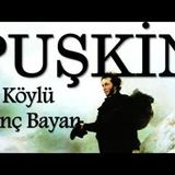 Köylü Genç Bayan  PUŞKİN sesli kitap tek parça Akın ALTAN