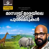 സിംഹരാജന്റെ തൊട്ടരികിൽ; മസായി മാരയിലെ സഫാരി | യാത്രാവാണി | Podcast