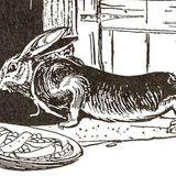 Why Rabbits have short tails | Fairy Tales