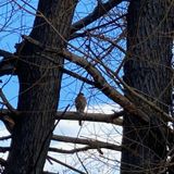 AI, 3IATLAS and Expectations