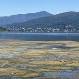 Barra: «Il Lago di Varese tornerà balneabile dopo 70 anni di inquinamento»