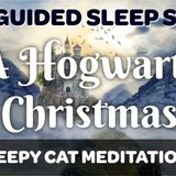 Christmas Eve at Hogwarts - A Guided Sleep Story Inspired by the World of Harry Potter