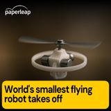 World's smallest untethered flying robot takes off