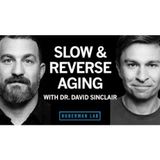 The Biology of Slowing & Reversing Aging _ Dr. David Sinclair