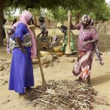 À Yama, le quotidien des femmes batteuses de mil (magazine)