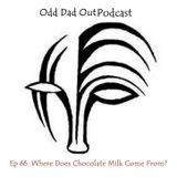 Where Does Chocolate Milk Come From? ODO 66