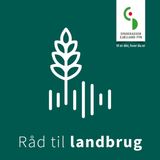 Fremtidens ejerformer i dansk landbrug