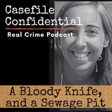 A Murdered Woman, a Bloody Knife, and a Sewage Pit
