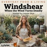 Windshear - Navigate the invisible danger with Celeste Skye