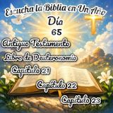 Escucha la Biblia en un año - Día 65