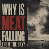 Why Is Meat Falling From The Sky