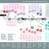 097 - Visualizing Circular Healthcare: A Taxonomy for Sustainable Medical Device Flows