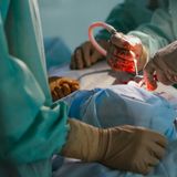Donna morta dopo una liposuzione a Roma, dottor Motta: «Intervento da non sottovalutare»