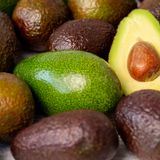 Breves de actualidad: Marruecos, principal proveedor de aguacates a España, con 72,8 M€ y un alza del 41,2% en 2025