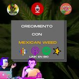 Crecimiento con Mexicanweed